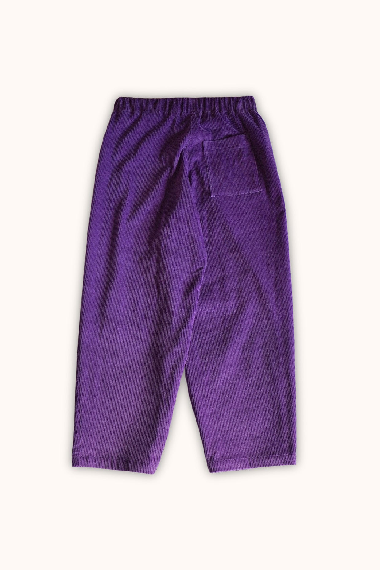 Pantalon velours Raymond