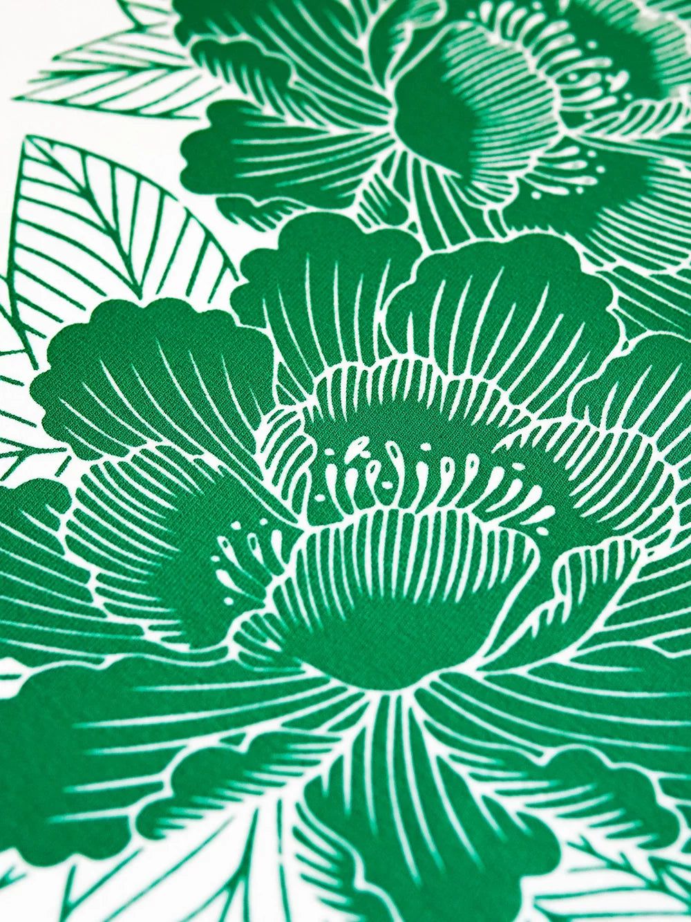 Top Paeonia vert