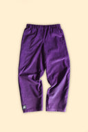 Pantalon velours Raymond