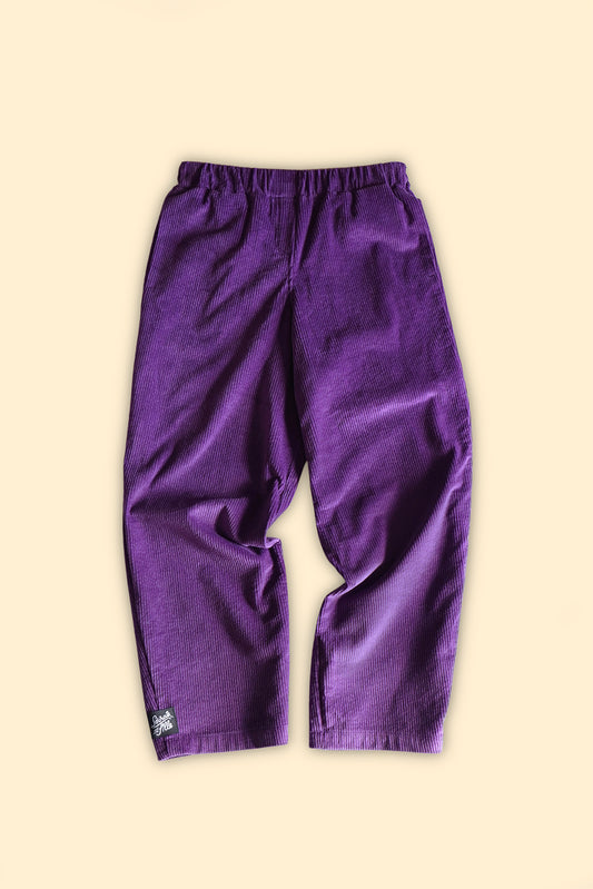 Pantalon velours Raymond