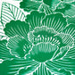 Top Paeonia vert